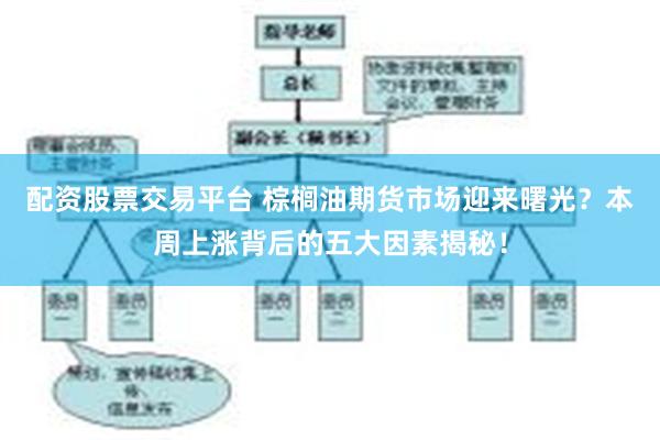 配资股票交易平台 棕榈油期货市场迎来曙光？本周上涨背后的五大因素揭秘！