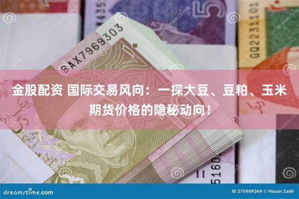 金股配资 国际交易风向：一探大豆、豆粕、玉米期货价格的隐秘动向！