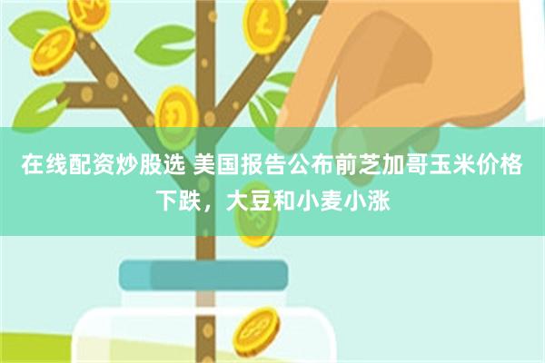 在线配资炒股选 美国报告公布前芝加哥玉米价格下跌，大豆和小麦小涨