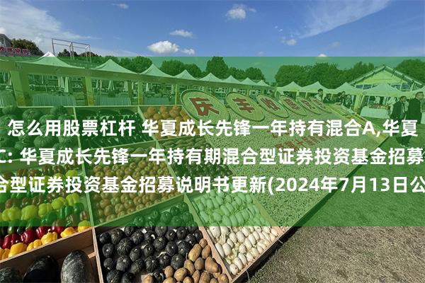 怎么用股票杠杆 华夏成长先锋一年持有混合A,华夏成长先锋一年持有混合C: 华夏成长先锋一年持有期混合型证券投资基金招募说明书更新(2024年7月13日公告)