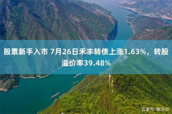 股票新手入市 7月26日禾丰转债上涨1.63%，转股溢价率39.48%