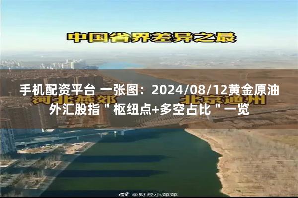 手机配资平台 一张图：2024/08/12黄金原油外汇股指＂枢纽点+多空占比＂一览