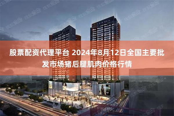 股票配资代理平台 2024年8月12日全国主要批发市场猪后腿肌肉价格行情