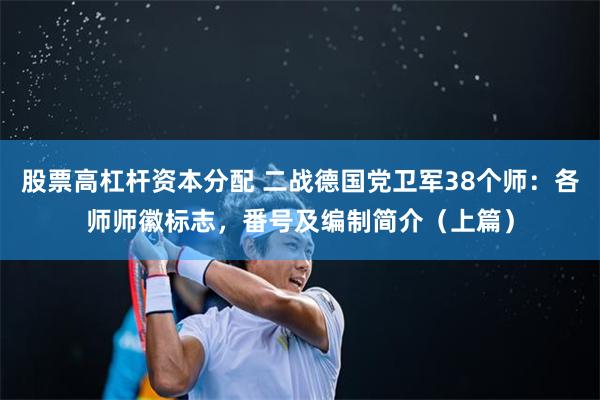 股票高杠杆资本分配 二战德国党卫军38个师：各师师徽标志，番号及编制简介（上篇）