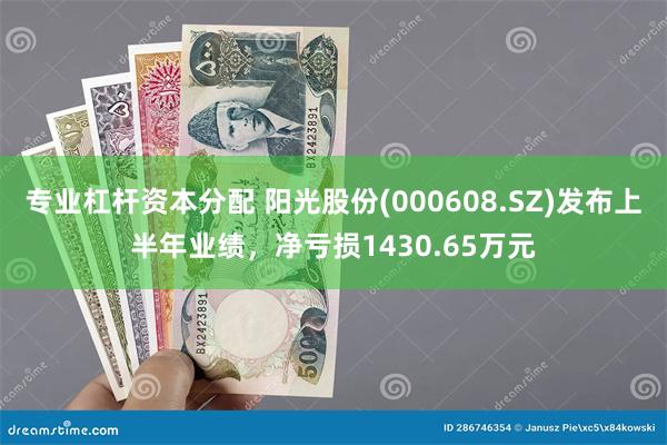 专业杠杆资本分配 阳光股份(000608.SZ)发布上半年业绩，净亏损1430.65万元