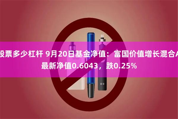 股票多少杠杆 9月20日基金净值：富国价值增长混合A最新净值0.6043，跌0.25%