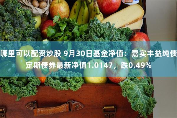 哪里可以配资炒股 9月30日基金净值：嘉实丰益纯债定期债券最新净值1.0147，跌0.49%