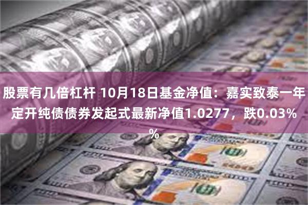 股票有几倍杠杆 10月18日基金净值：嘉实致泰一年定开纯债债券发起式最新净值1.0277，跌0.03%