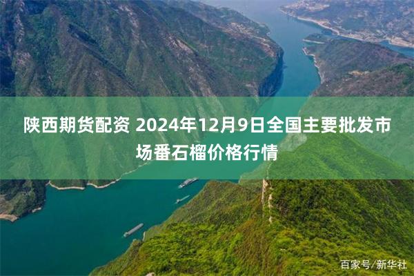 陕西期货配资 2024年12月9日全国主要批发市场番石榴价格行情