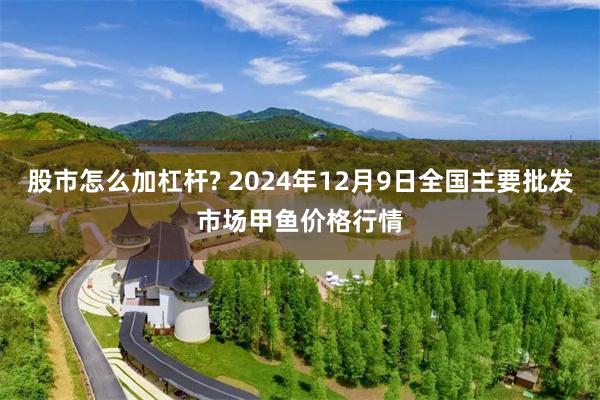 股市怎么加杠杆? 2024年12月9日全国主要批发市场甲鱼价格行情