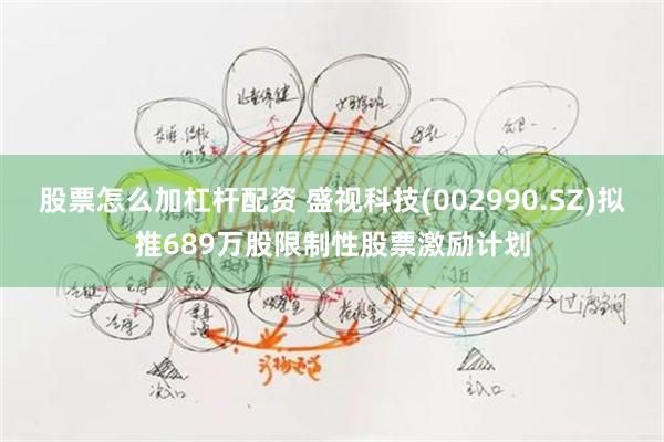 股票怎么加杠杆配资 盛视科技(002990.SZ)拟推689万股限制性股票激励计划