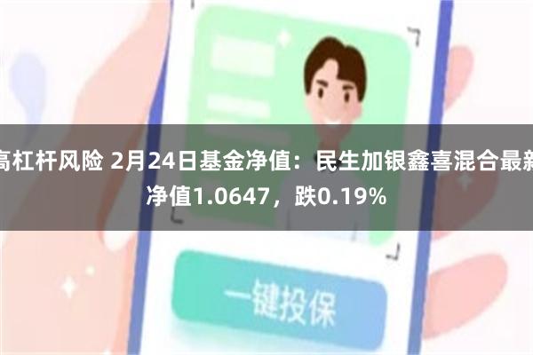 高杠杆风险 2月24日基金净值：民生加银鑫喜混合最新净值1.0647，跌0.19%