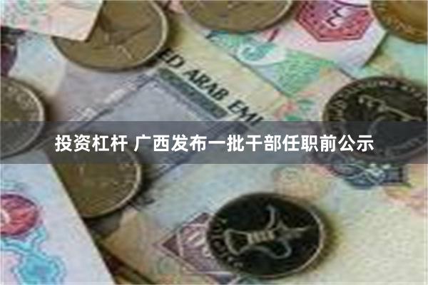 投资杠杆 广西发布一批干部任职前公示